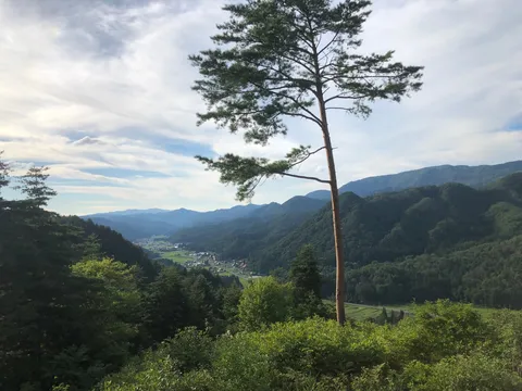 山間に広がる緑の谷