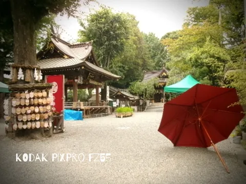 古刹の木漏れ日と朱色の傘