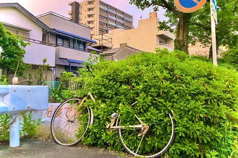 緑に埋もれた自転車、時間の流れ