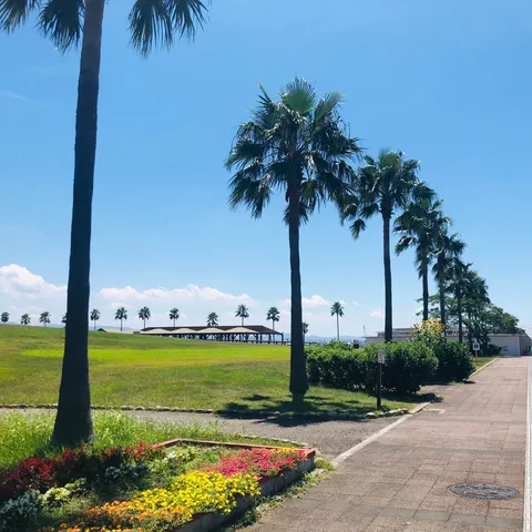 青空とヤシの並木道