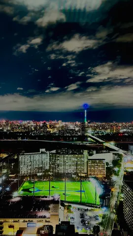 煌めく都市の夜と緑のオアシス