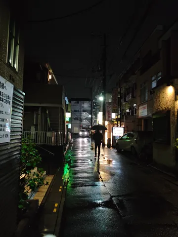 雨に濡れる路地裏の光