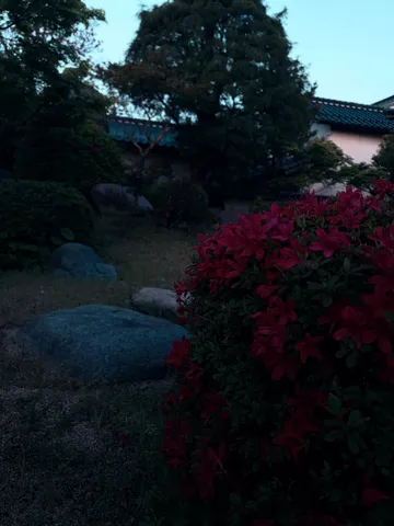 夕暮れの庭園、静寂と華やぎ