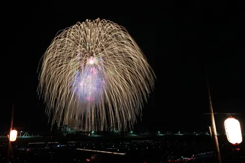 夜空に咲く金色の雨