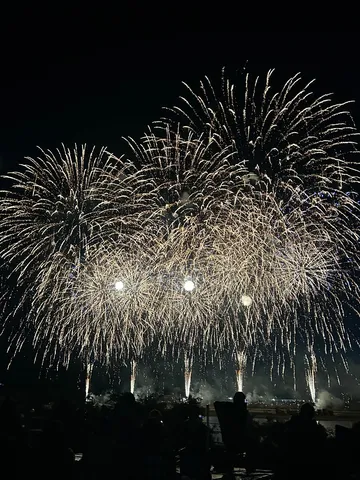 夜空を彩る光の華