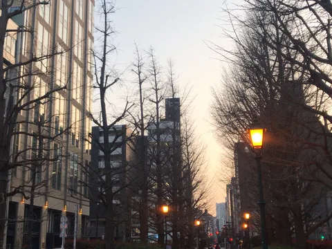 夕暮れの街路の温もり