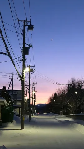 三日月と冬の道