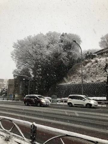 雪舞う街を駆ける車たち