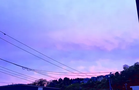 電線と紫の空のコントラスト
