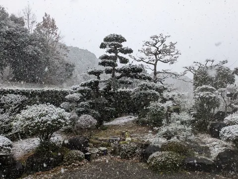 雪化粧の和風庭園