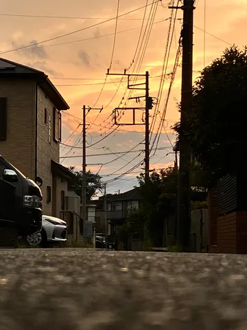 電線と夕焼けのコントラスト