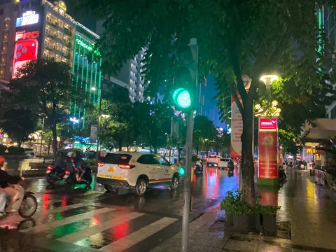 雨上がりの都会、信号待ちの静寂