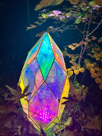 森に浮かぶ光の結晶