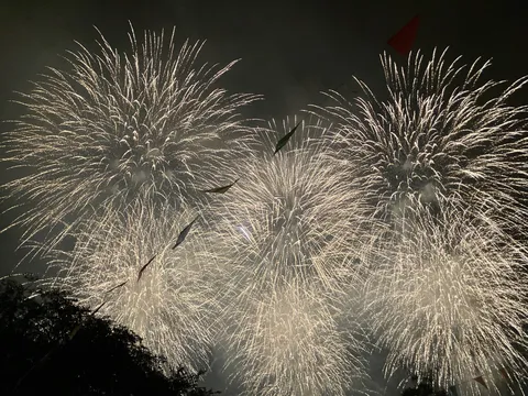 夜空を彩る光の華