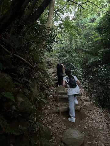 緑深き山道、静かなる一歩