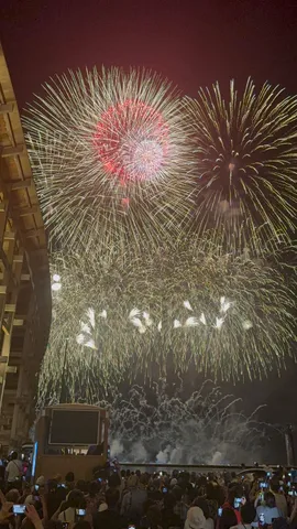 夜空を彩る光の華