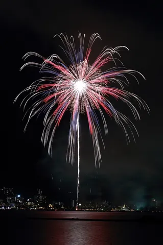 夜空に咲く花火の記録