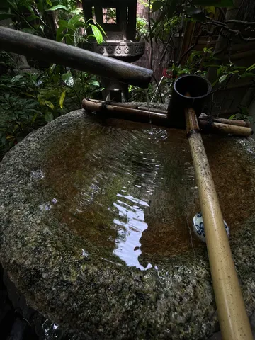 静寂の竹と水音