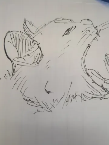 あくびするライオンの迫力スケッチ