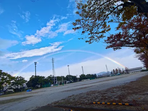 雨上がりの空にかかる虹