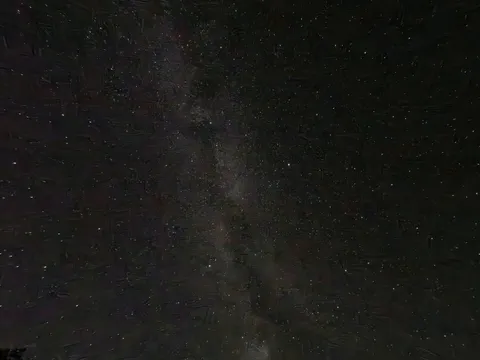 夜空にひろがる微かな星屑