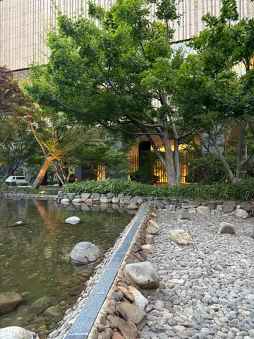 水辺の静寂と都会の息吹