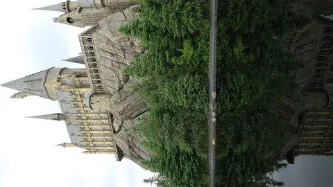 水面に映る雄大な城