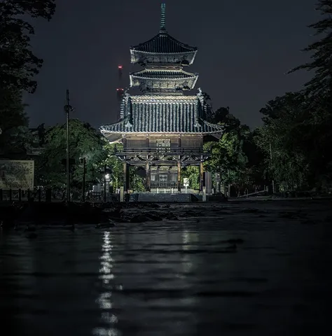 夜の五重塔と水面の反射