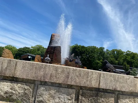 噴水と鳩のひととき