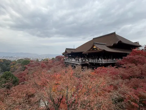 紅葉に染まる古都、絶景の境内