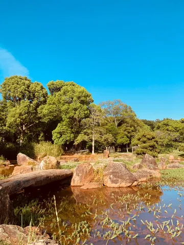 水面に映る、自然の静寂