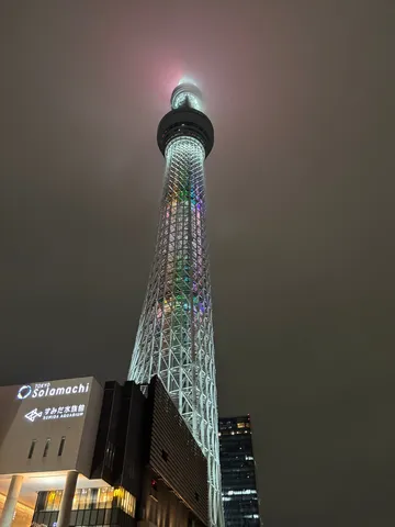 霧に包まれた東京スカイツリー