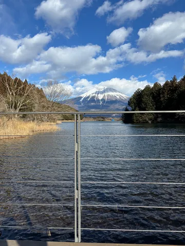 湖畔に佇む、雪化粧の富士山