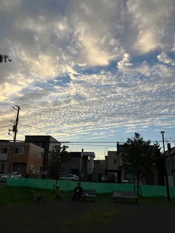 夕暮れの公園に漂う光