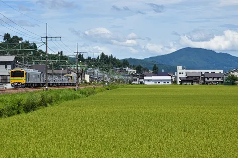 田園を駆け抜けるローカル線
