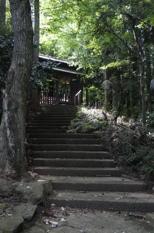 森へと続く石段の参道