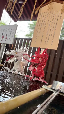 紅と白の龍、水の恵み