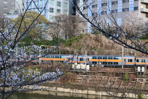 春の訪れ、街を走る列車