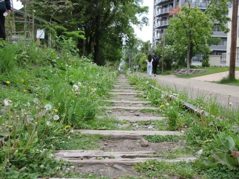 草に埋もれた線路の道