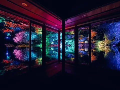 夜の庭、光の水鏡