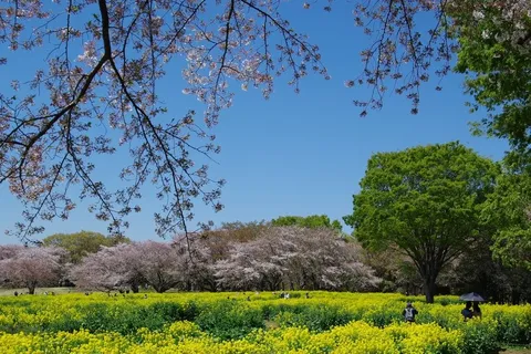 青空に映える春色パレット