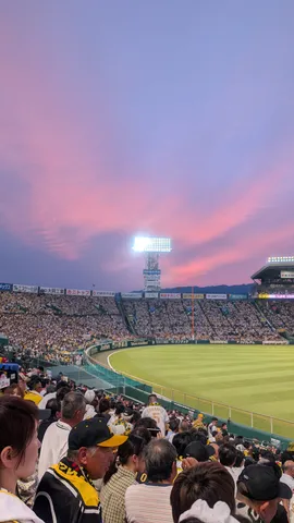 夕焼け空と野球観戦