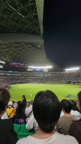 ドームと頭と、時々野球