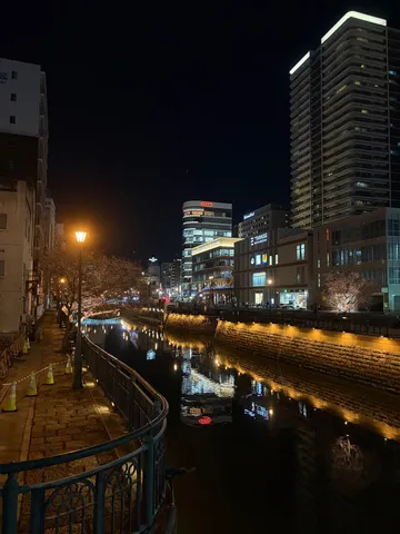 都会の夜、光の川面