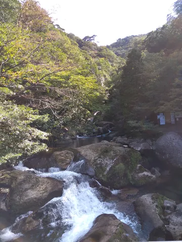 清流が奏でる緑の峡谷