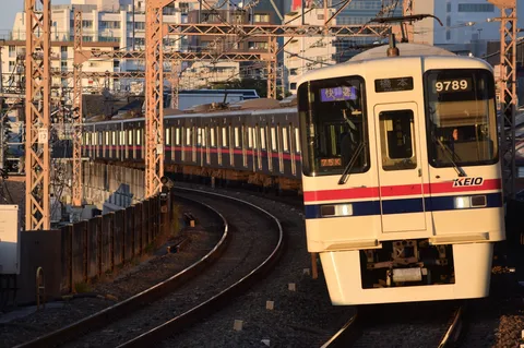 夕陽を浴びてカーブを行く列車