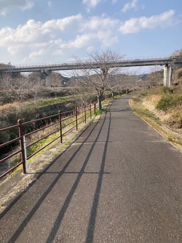 線路が続く橋の下の小道