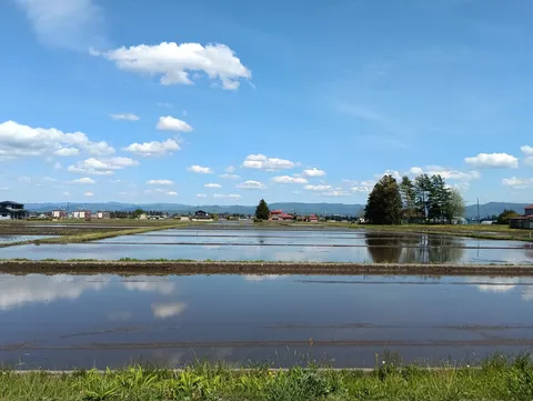 水田に映る青空と雲