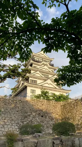 緑葉に包まれし古城の威厳