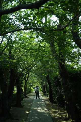 緑陰の小径、旅のひととき